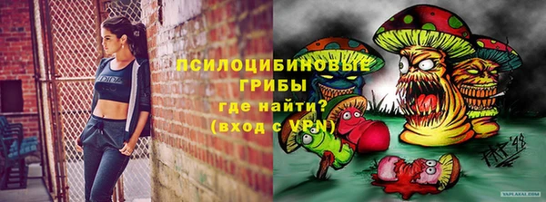 apvp Алзамай