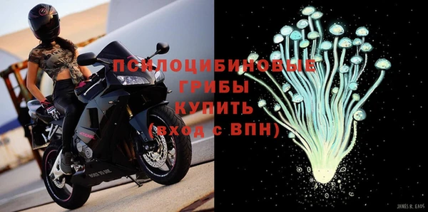 apvp Алзамай