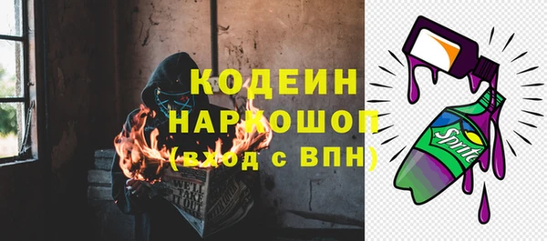 стаф Аркадак
